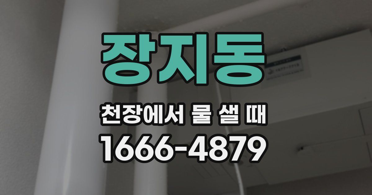 장지동 천장에서 물 샐 때