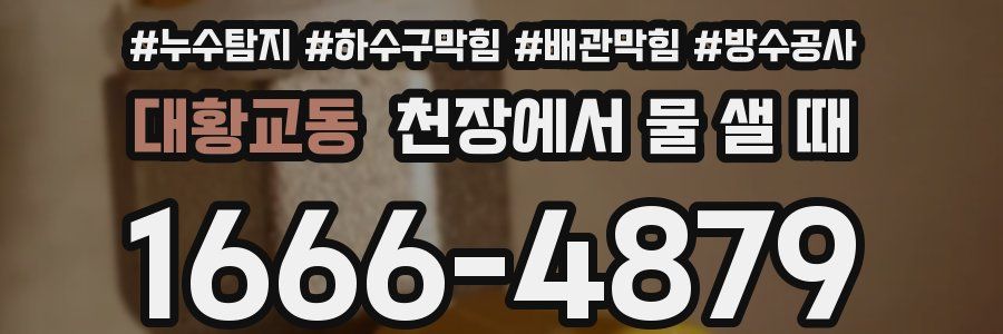 대황교동 천장에서 물 샐 때
