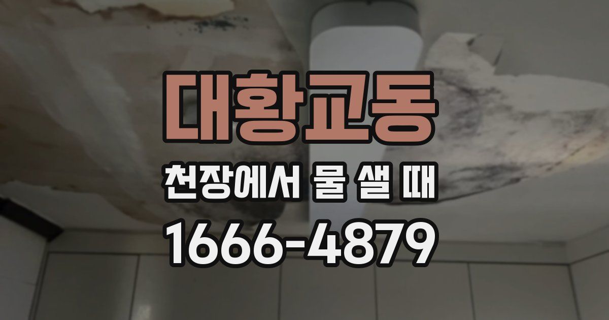 대황교동 천장에서 물 샐 때