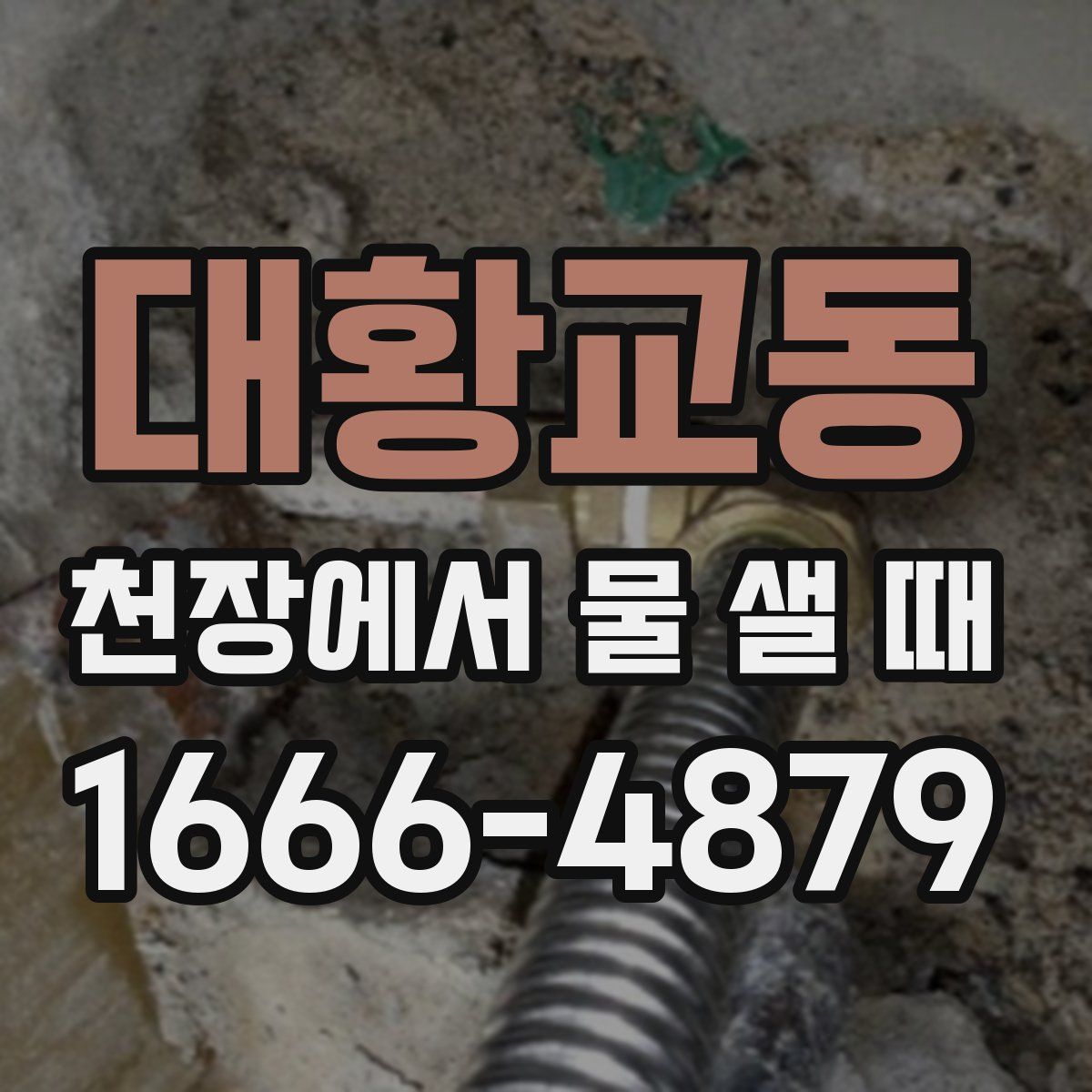 대황교동 천장에서 물 샐 때