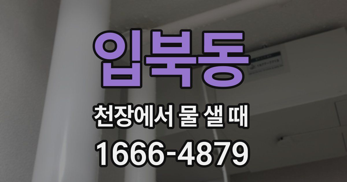 입북동 천장에서 물 샐 때