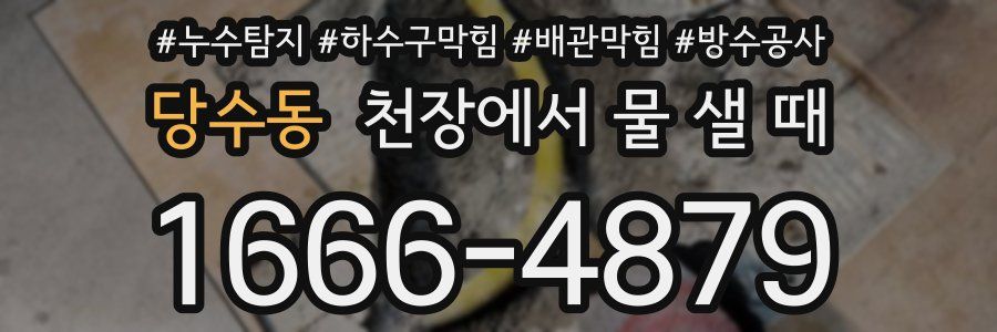 당수동 천장에서 물 샐 때