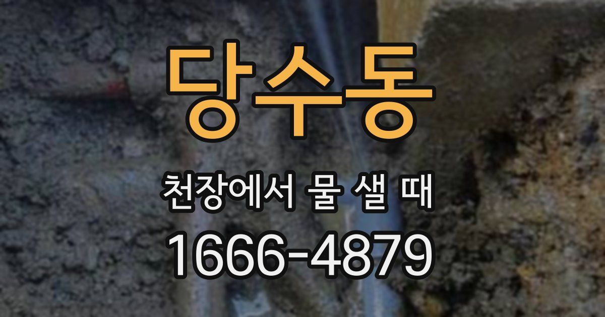 당수동 천장에서 물 샐 때