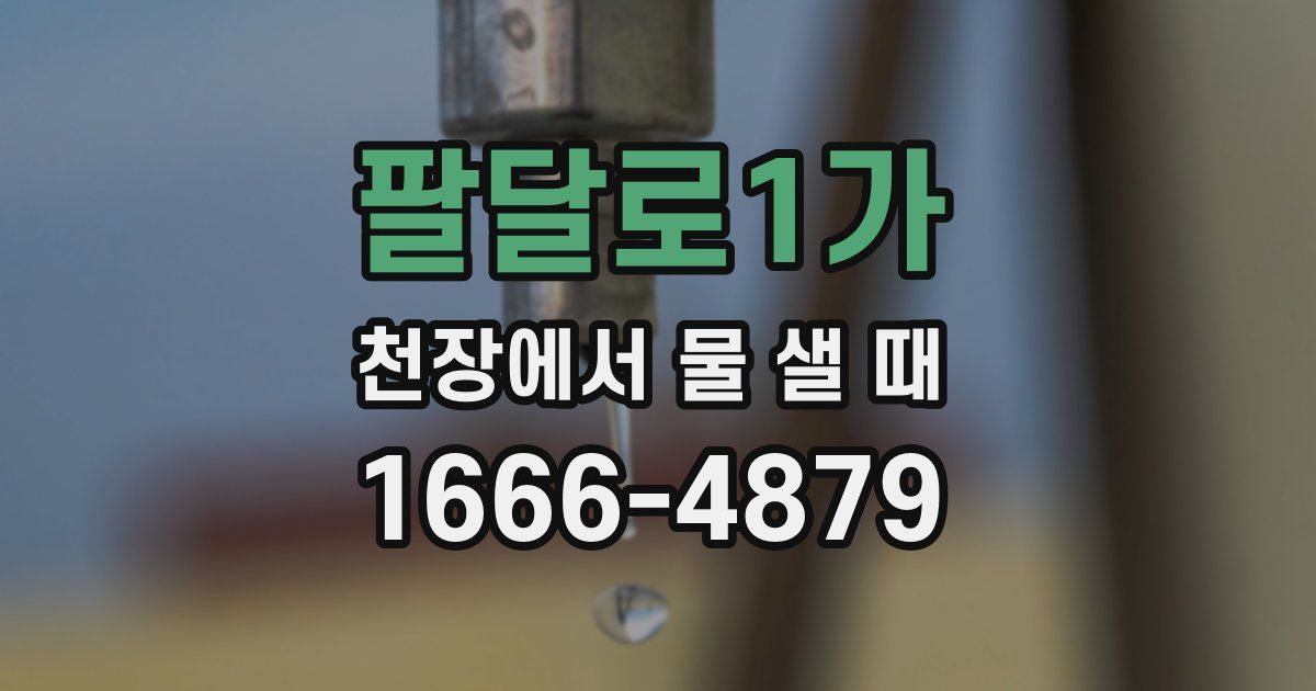 팔달로1가 천장에서 물 샐 때