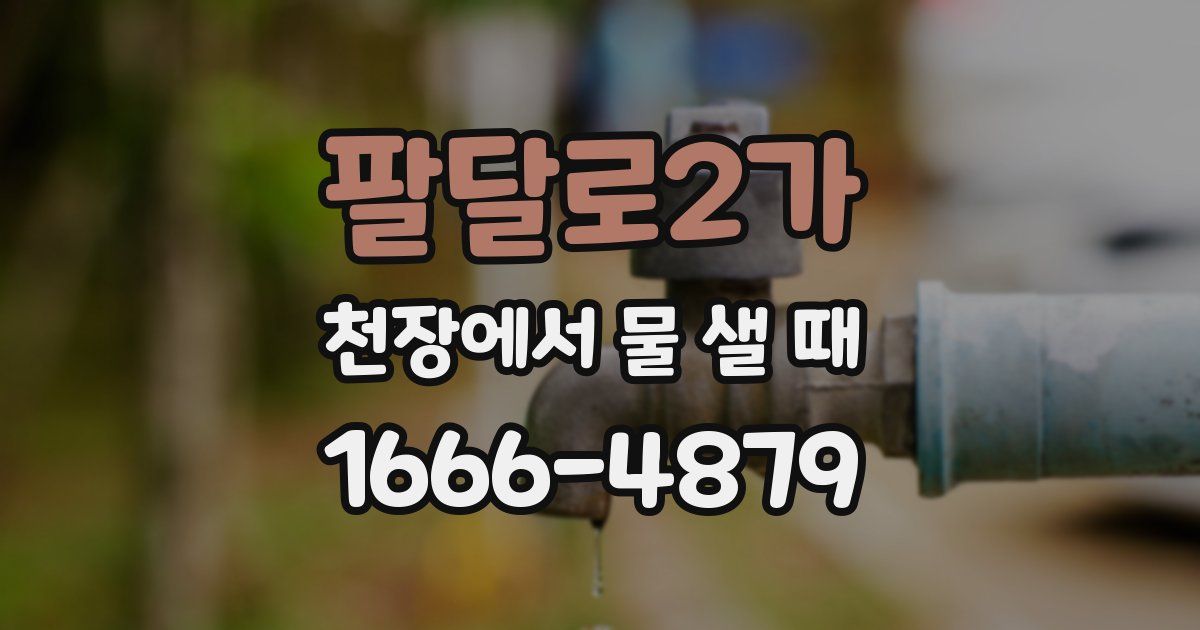팔달로2가 천장에서 물 샐 때