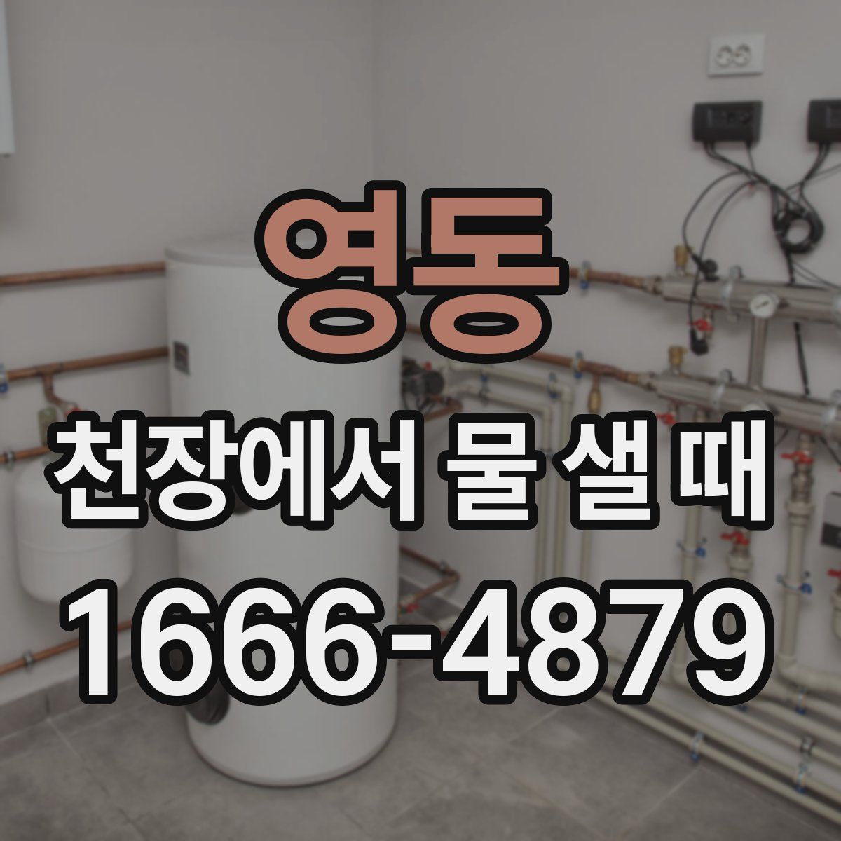 영동 천장에서 물 샐 때