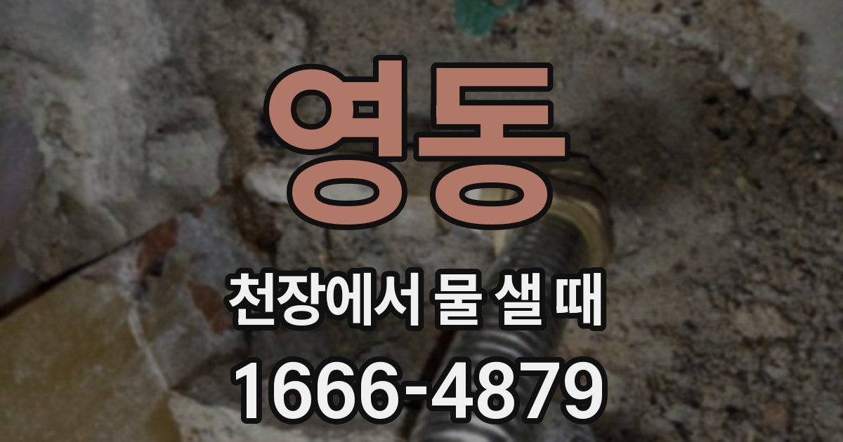 영동 천장에서 물 샐 때