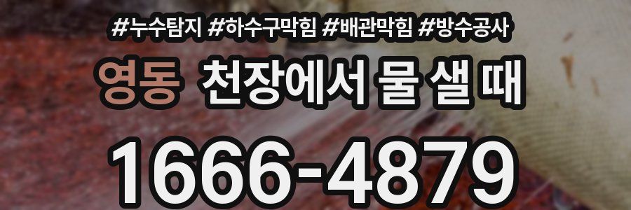 영동 천장에서 물 샐 때