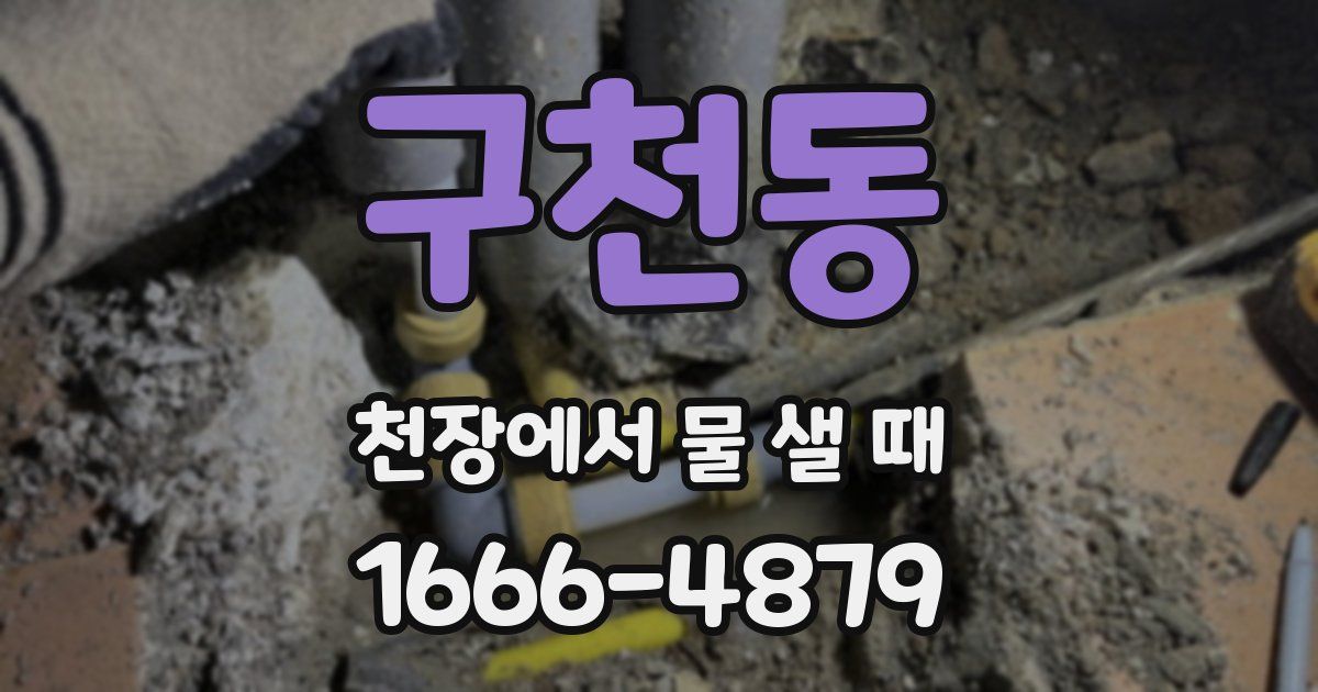 구천동 천장에서 물 샐 때
