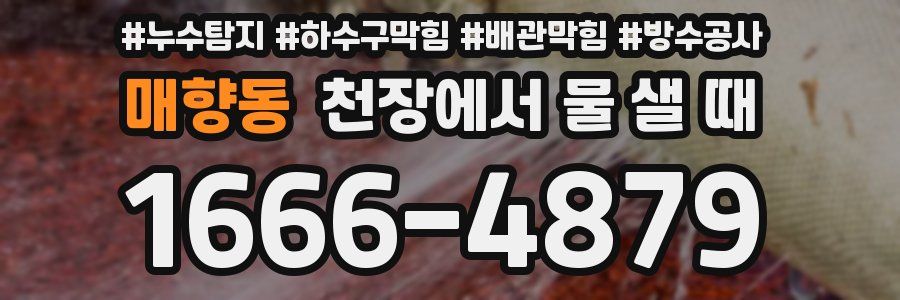 매향동 천장에서 물 샐 때