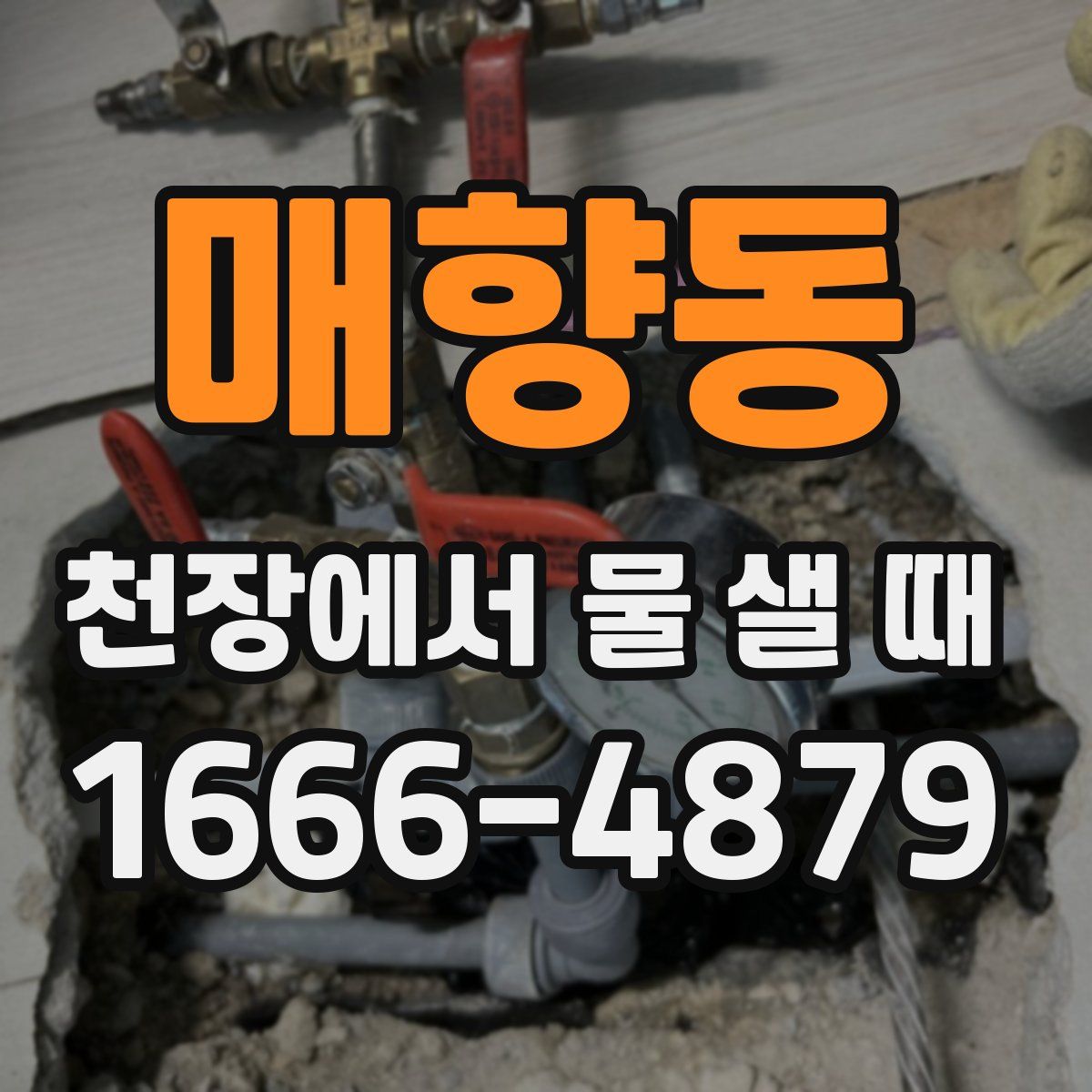 매향동 천장에서 물 샐 때