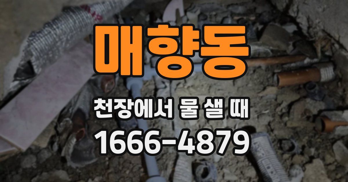 매향동 천장에서 물 샐 때