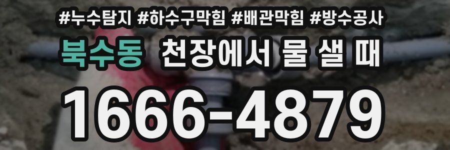 북수동 천장에서 물 샐 때