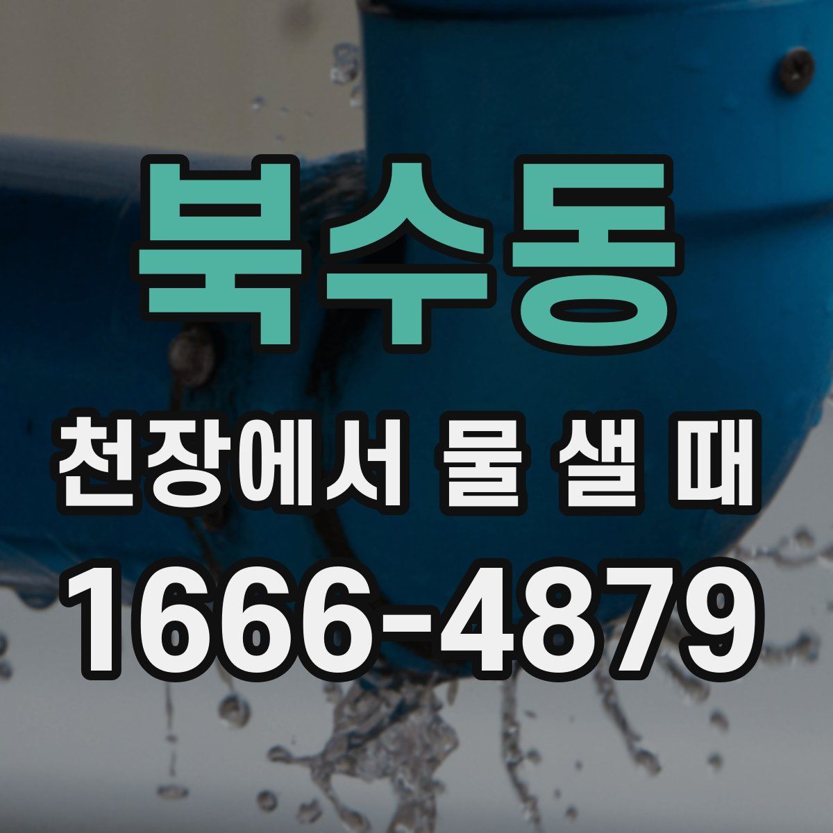 북수동 천장에서 물 샐 때