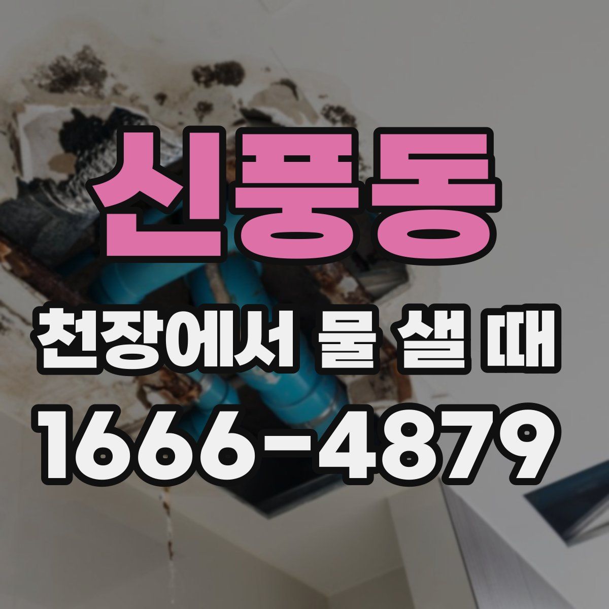 신풍동 천장에서 물 샐 때