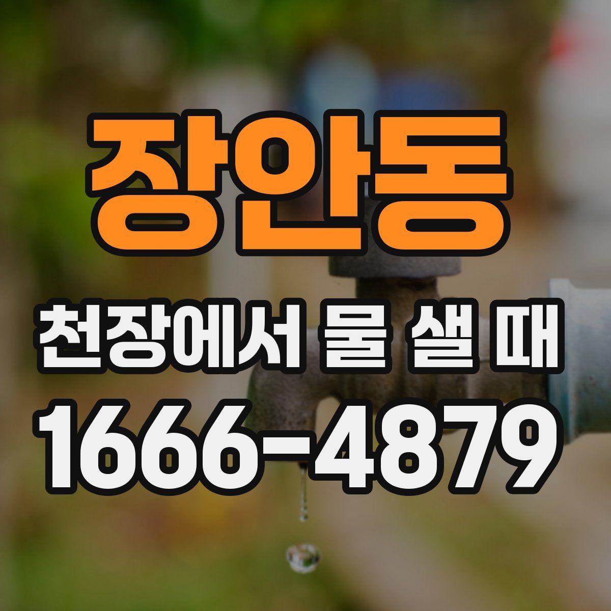장안동 천장에서 물 샐 때