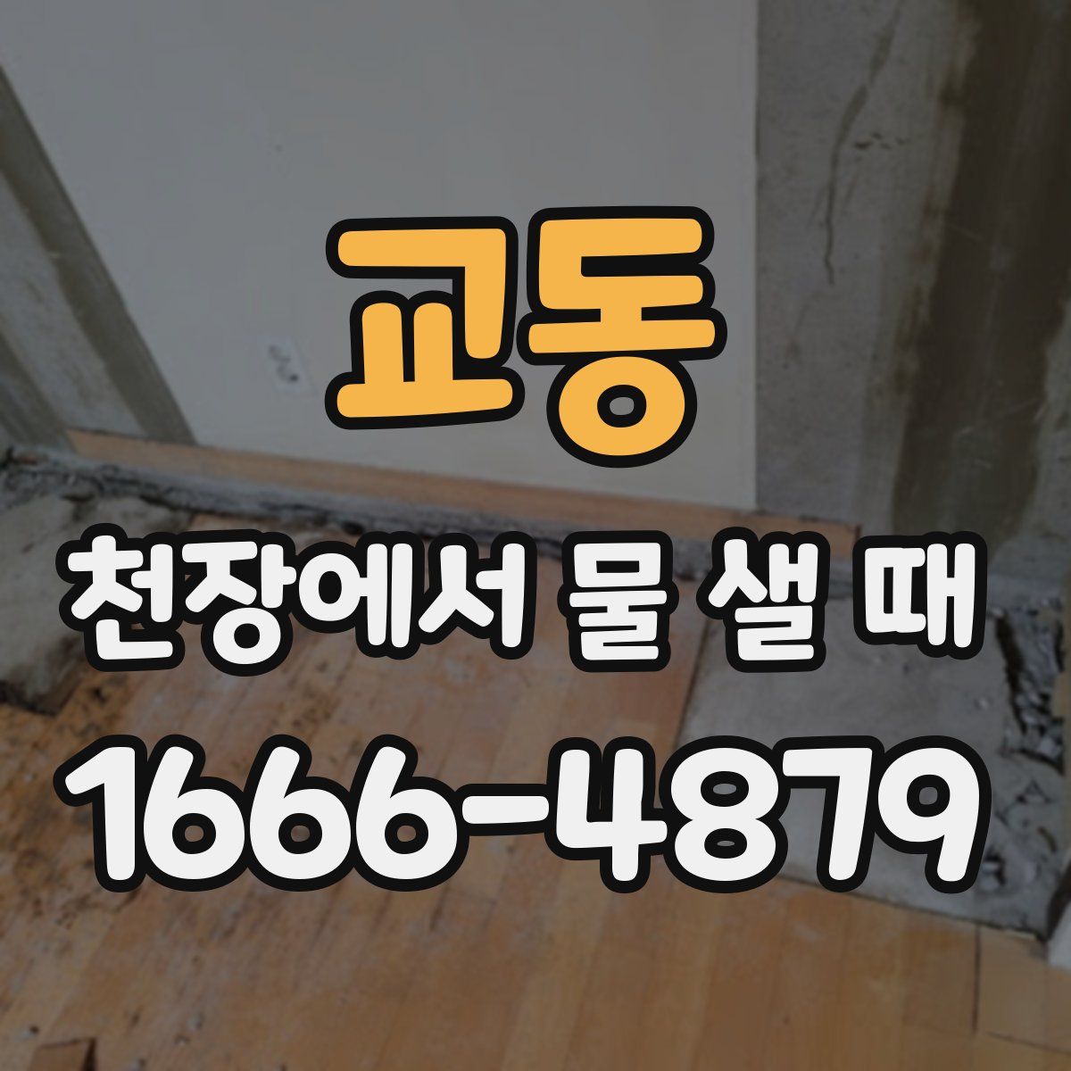 교동 천장에서 물 샐 때