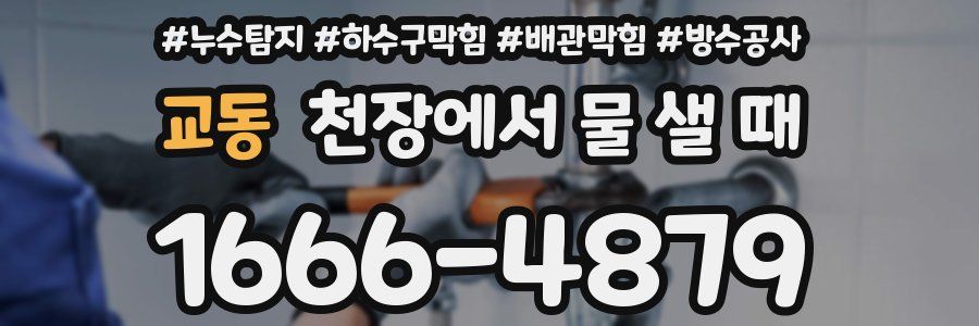 교동 천장에서 물 샐 때