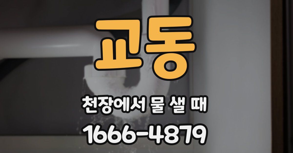 교동 천장에서 물 샐 때