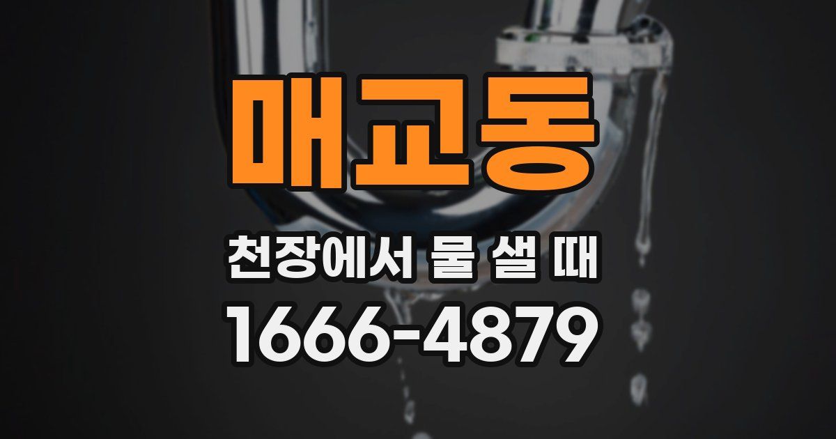 매교동 천장에서 물 샐 때