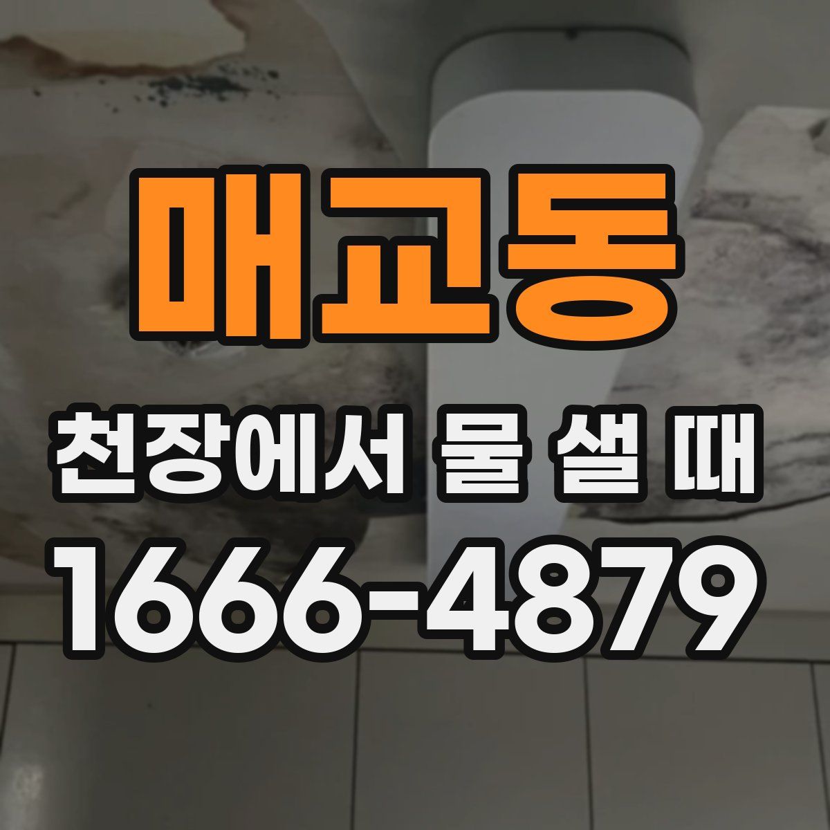 매교동 천장에서 물 샐 때
