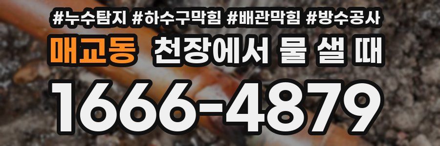 매교동 천장에서 물 샐 때