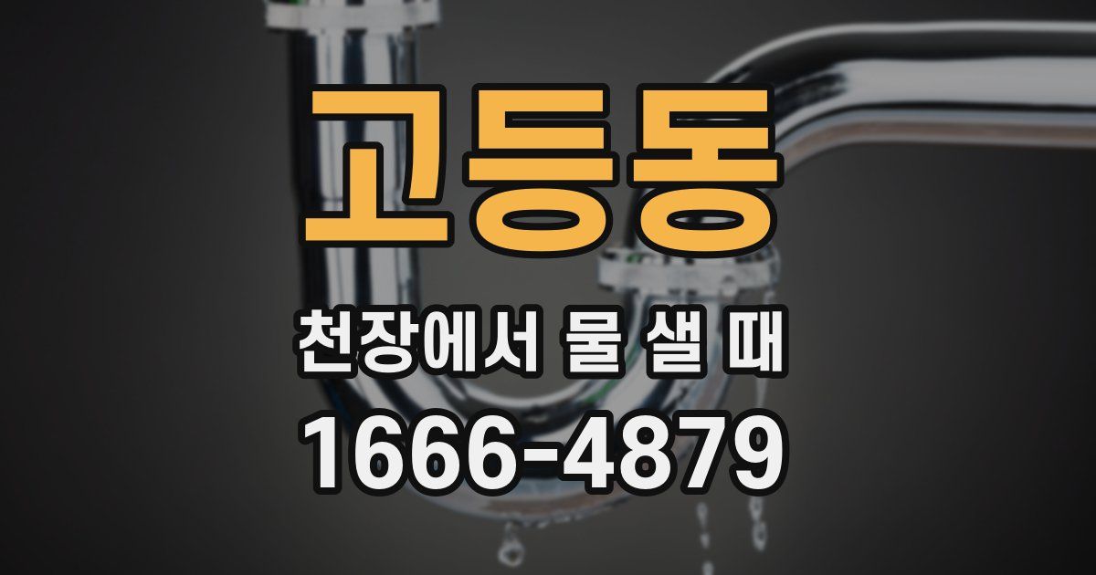 고등동 천장에서 물 샐 때