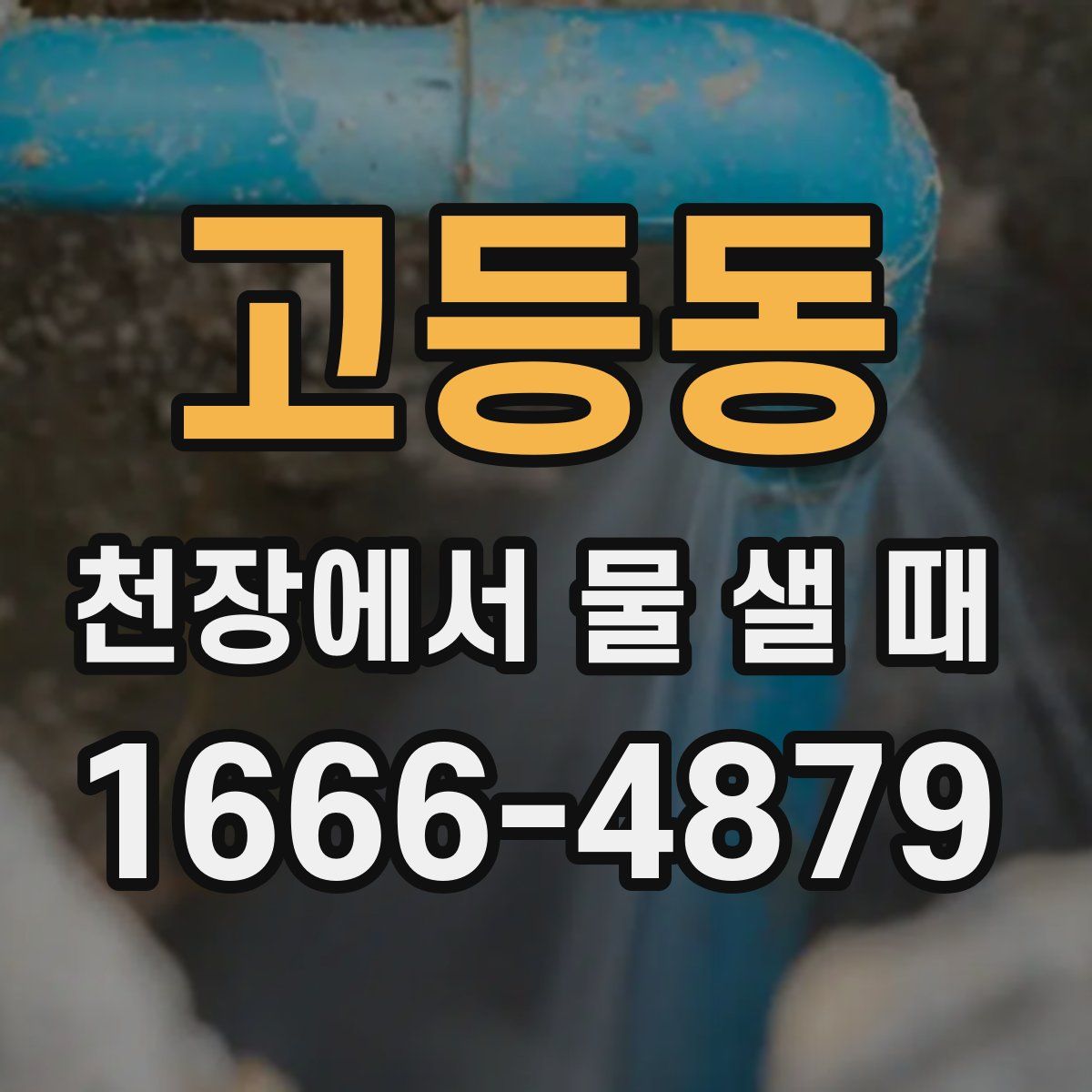 고등동 천장에서 물 샐 때