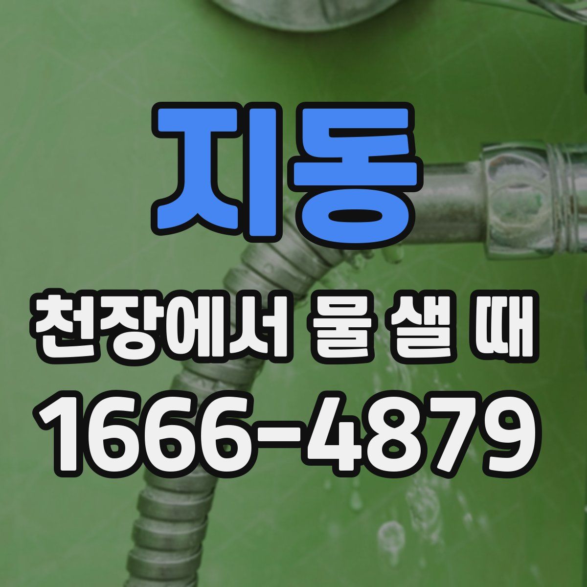 지동 천장에서 물 샐 때