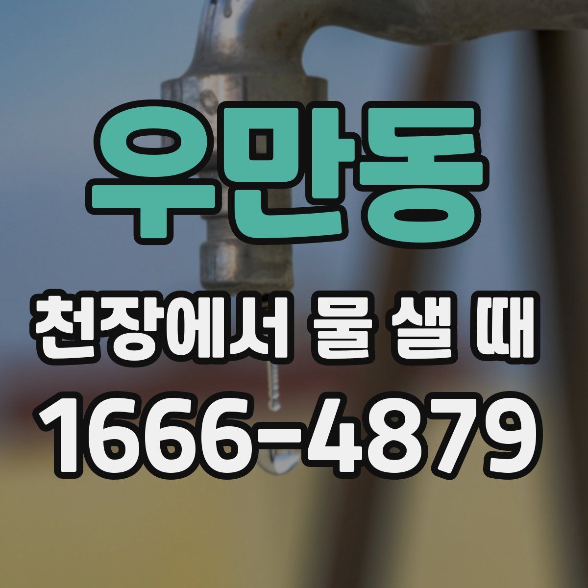 우만동 천장에서 물 샐 때