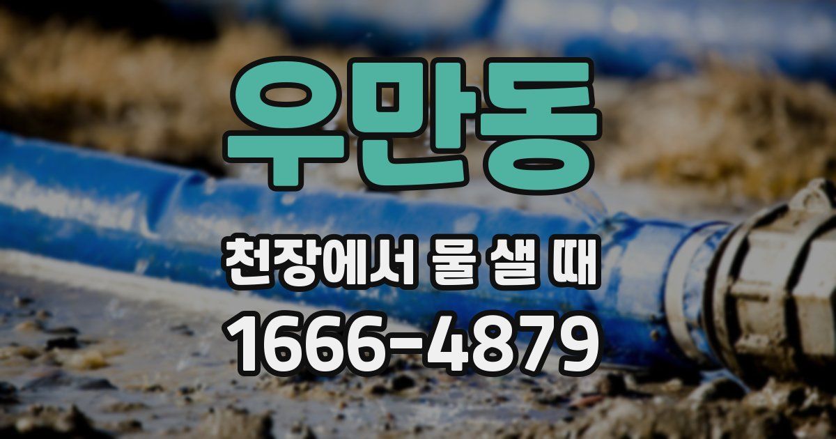 우만동 천장에서 물 샐 때