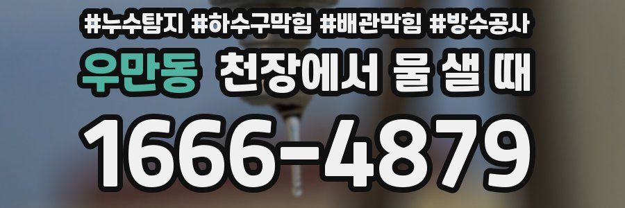 우만동 천장에서 물 샐 때