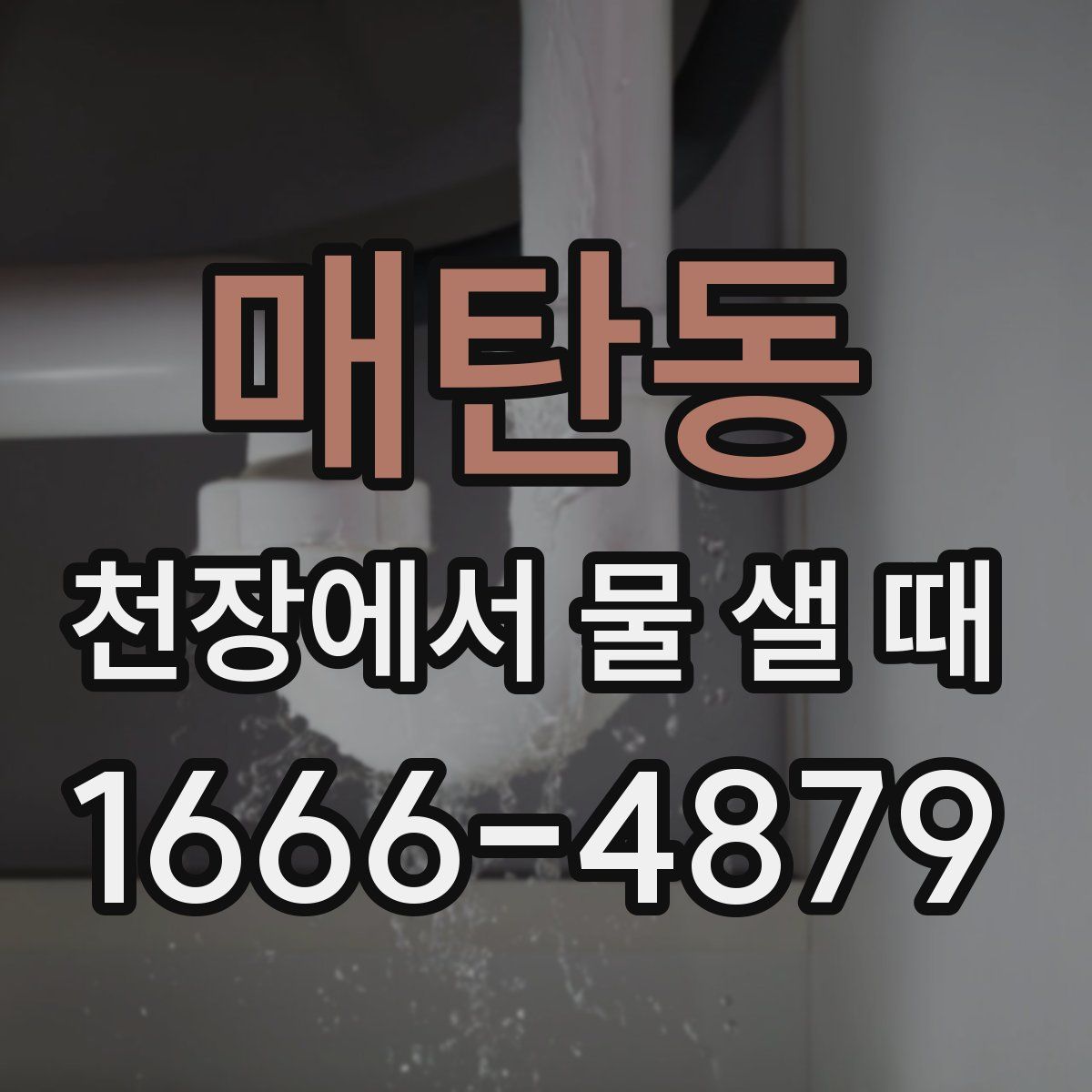 매탄동 천장에서 물 샐 때