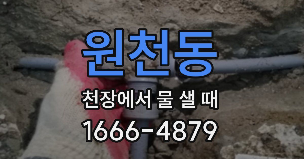 원천동 천장에서 물 샐 때