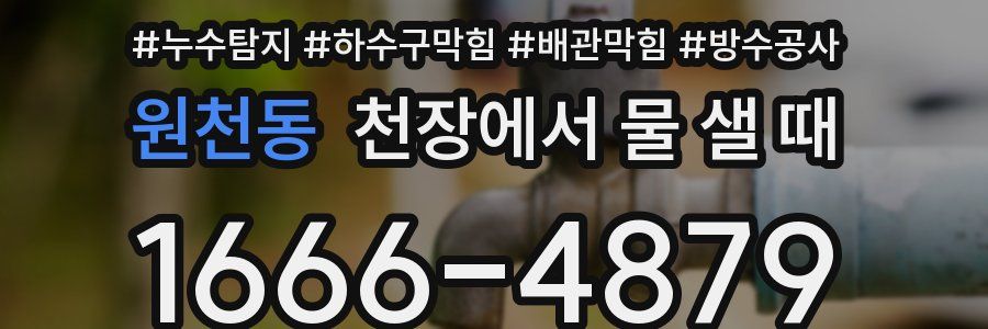 원천동 천장에서 물 샐 때