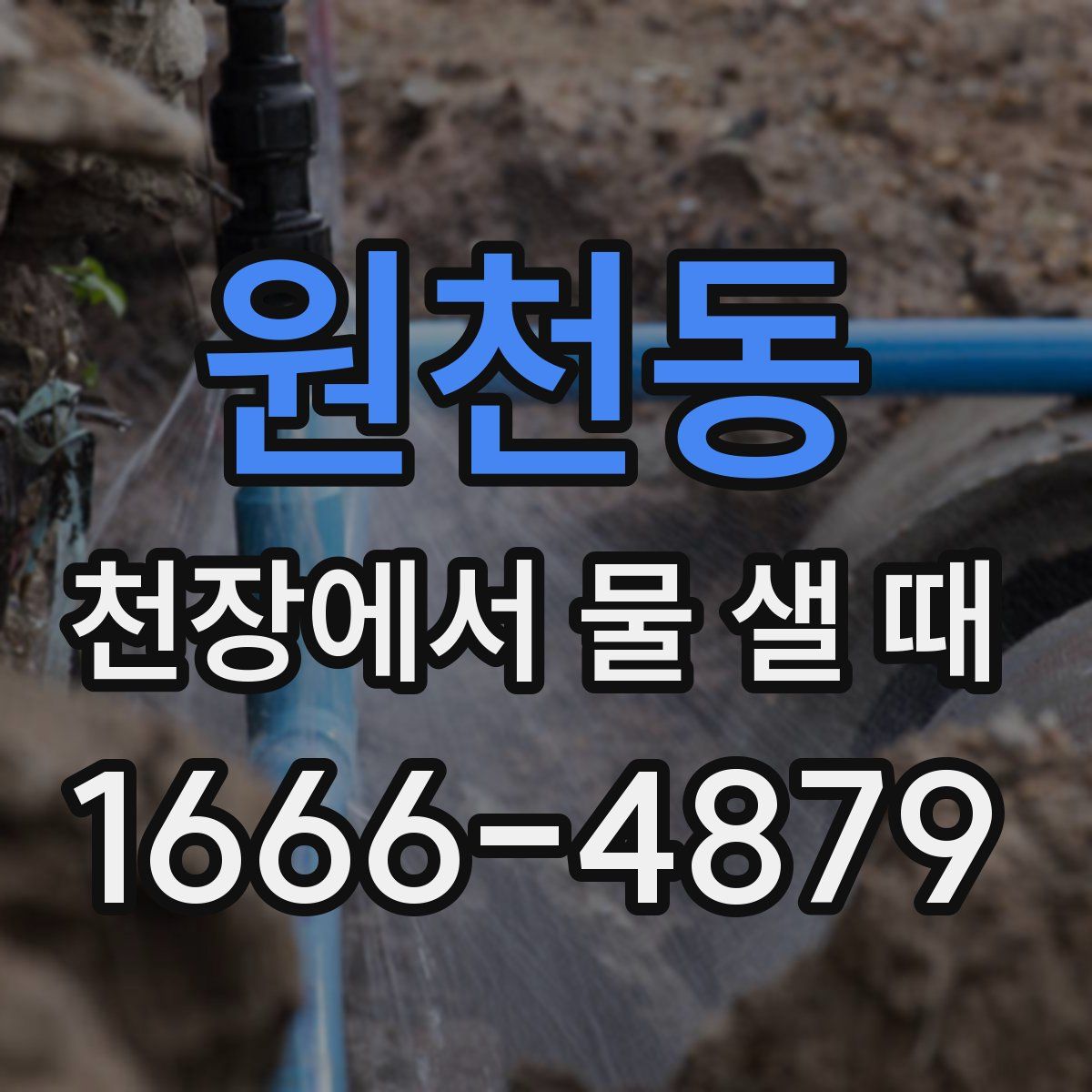 원천동 천장에서 물 샐 때
