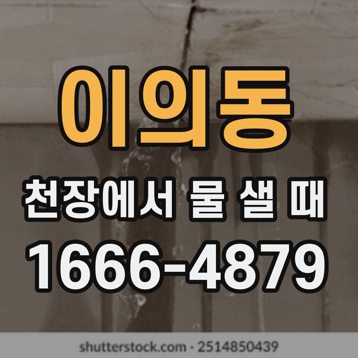 이의동 천장에서 물 샐 때