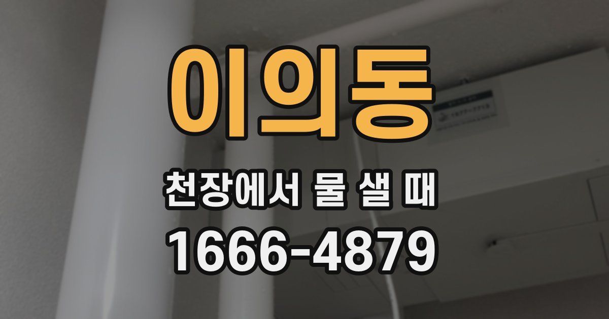 이의동 천장에서 물 샐 때