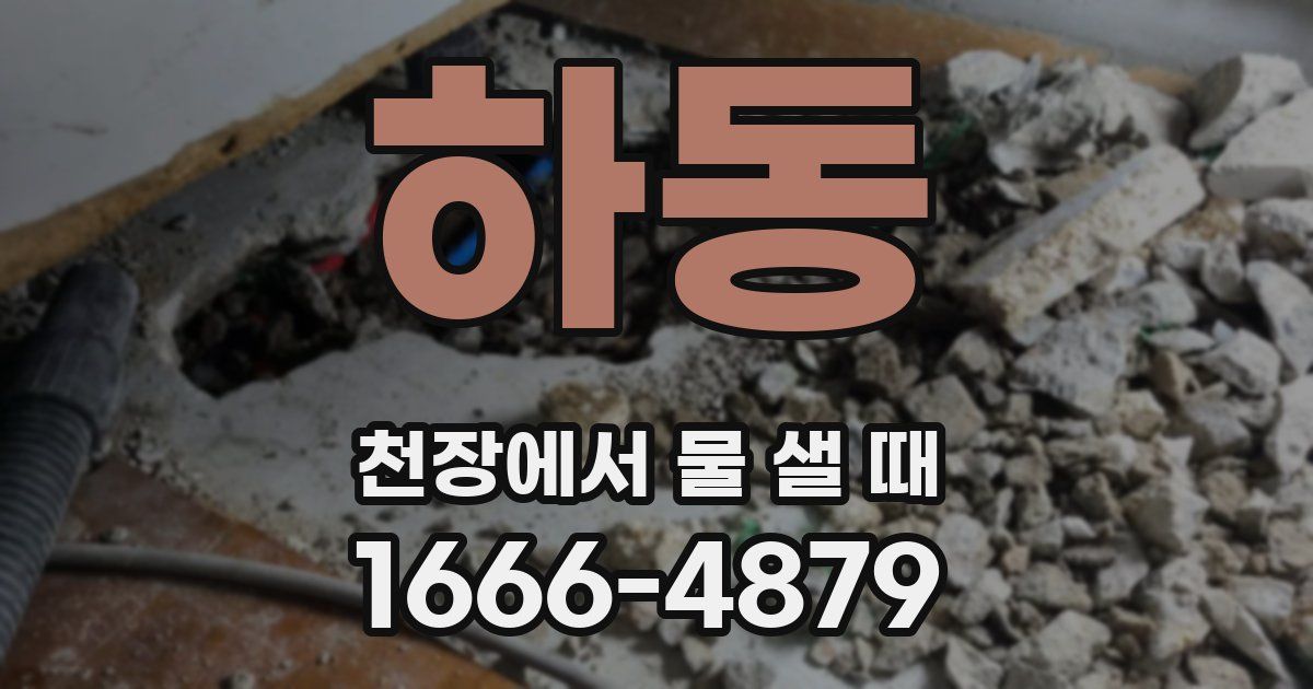 하동 천장에서 물 샐 때