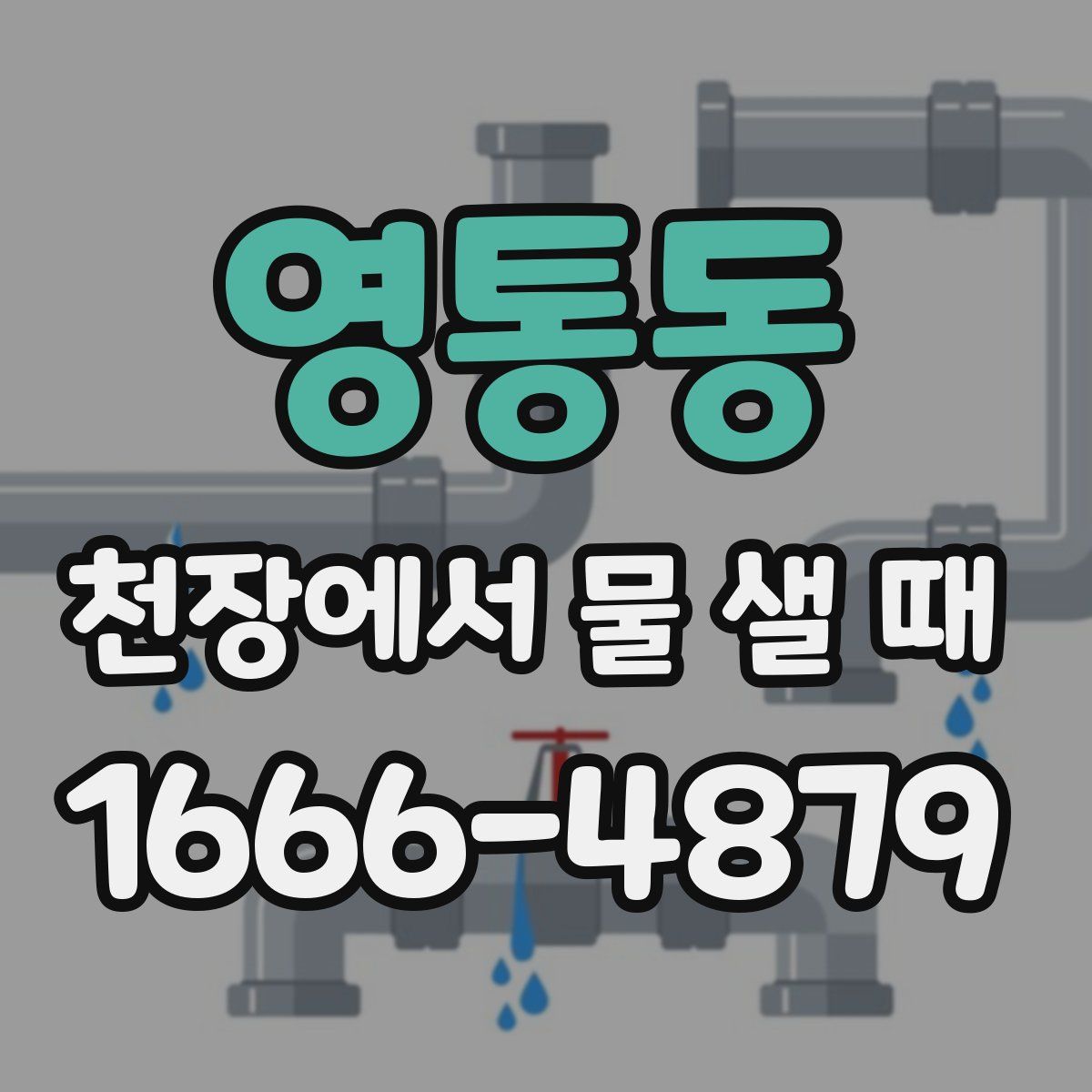 영통동 천장에서 물 샐 때