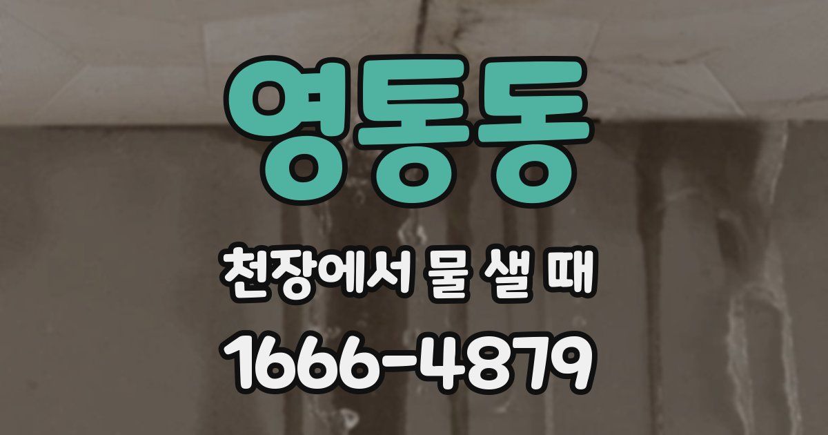 영통동 천장에서 물 샐 때