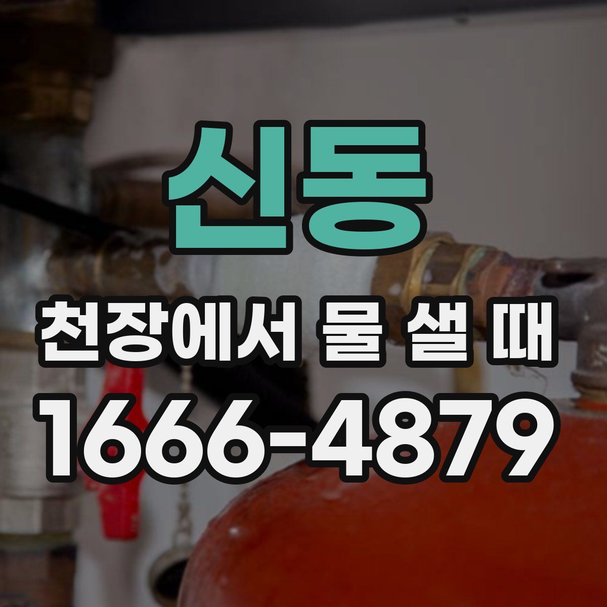 신동 천장에서 물 샐 때