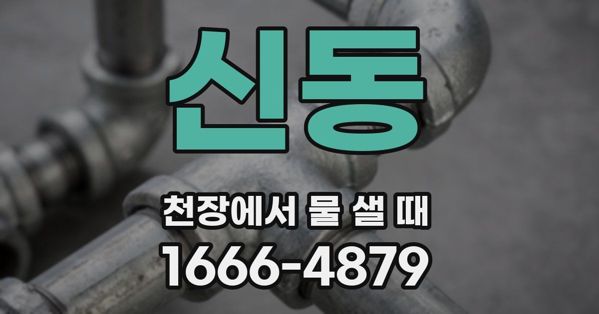 신동 천장에서 물 샐 때