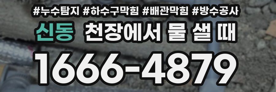 신동 천장에서 물 샐 때