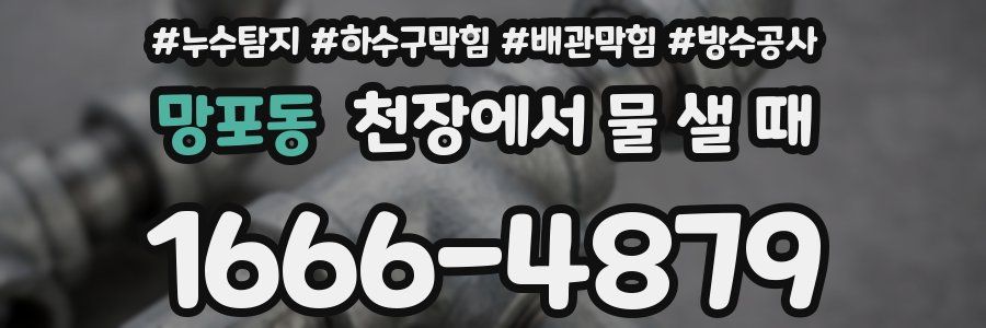 망포동 천장에서 물 샐 때