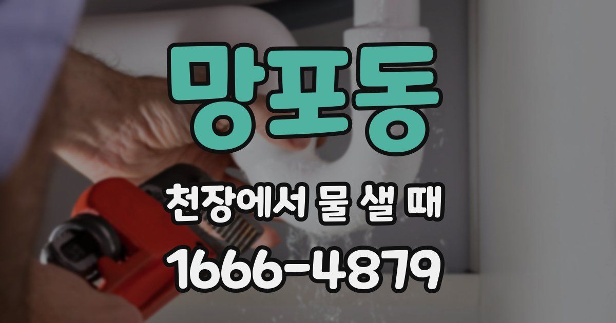 망포동 천장에서 물 샐 때