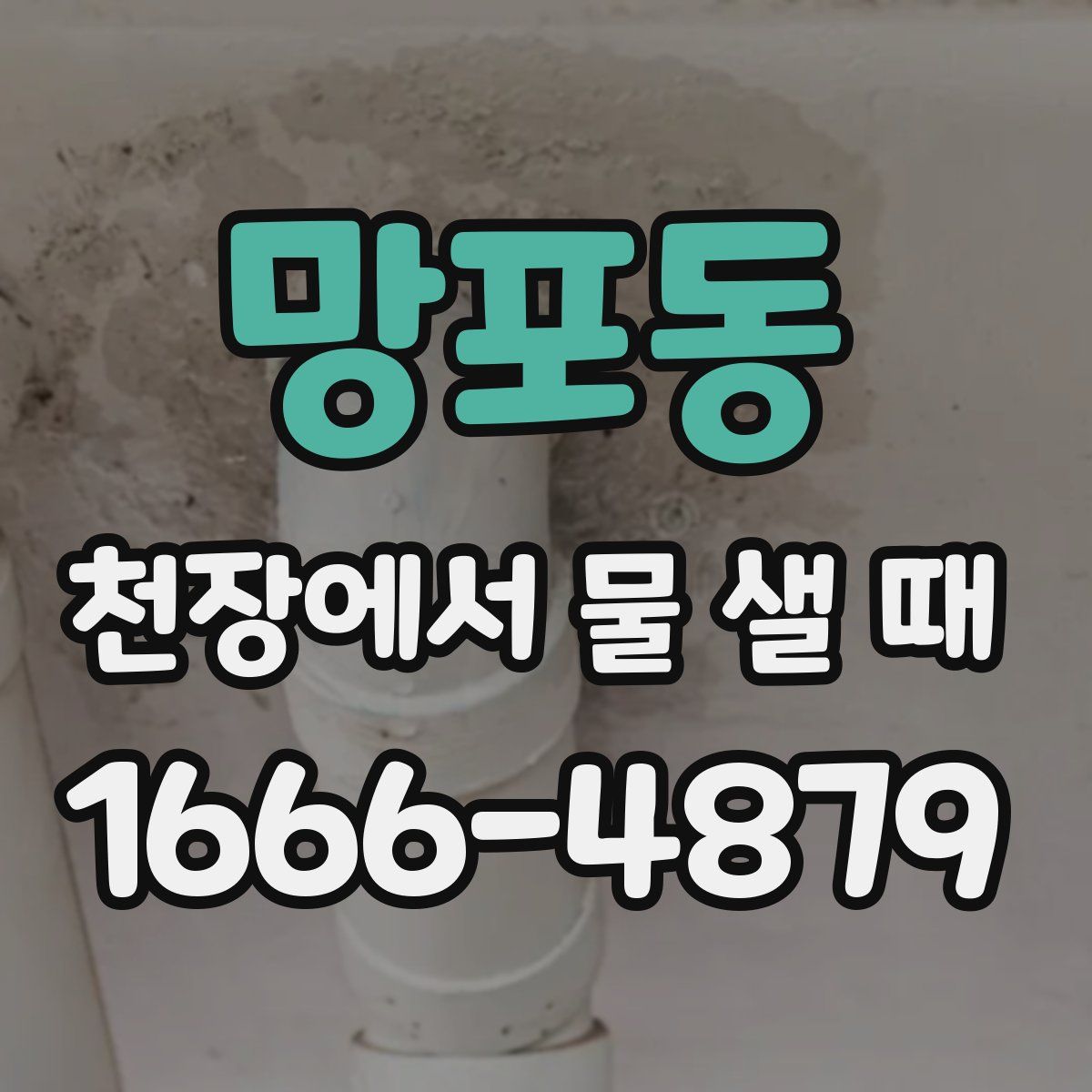 망포동 천장에서 물 샐 때