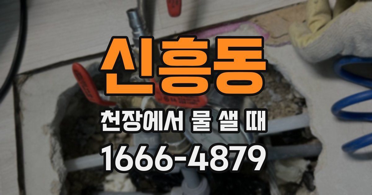 신흥동 천장에서 물 샐 때