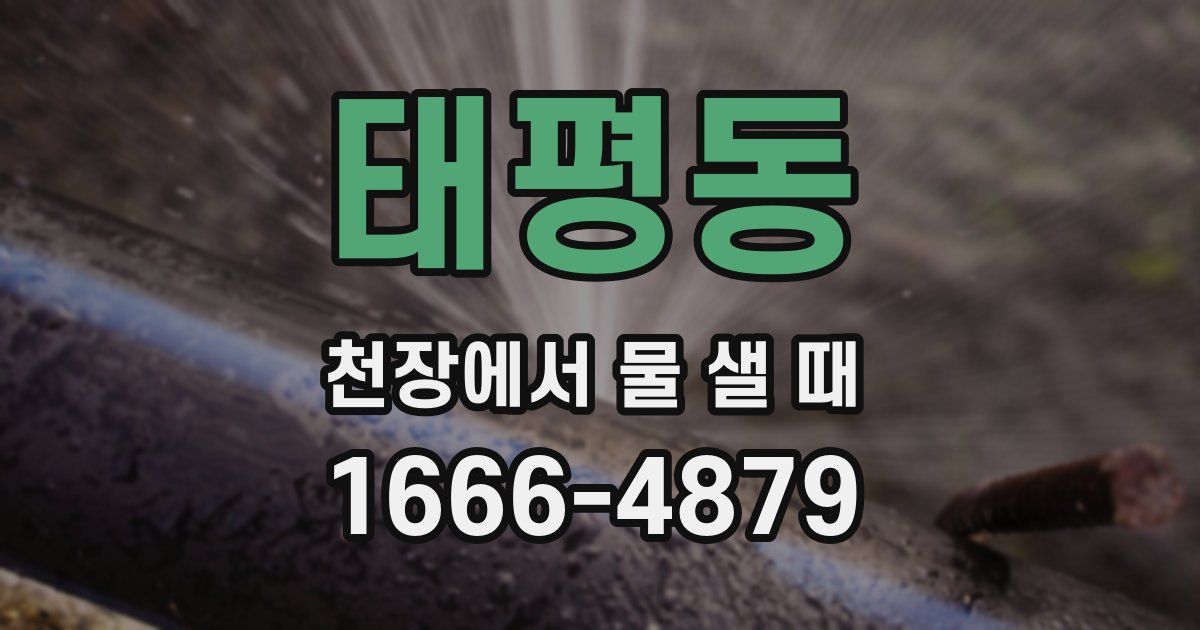 태평동 천장에서 물 샐 때