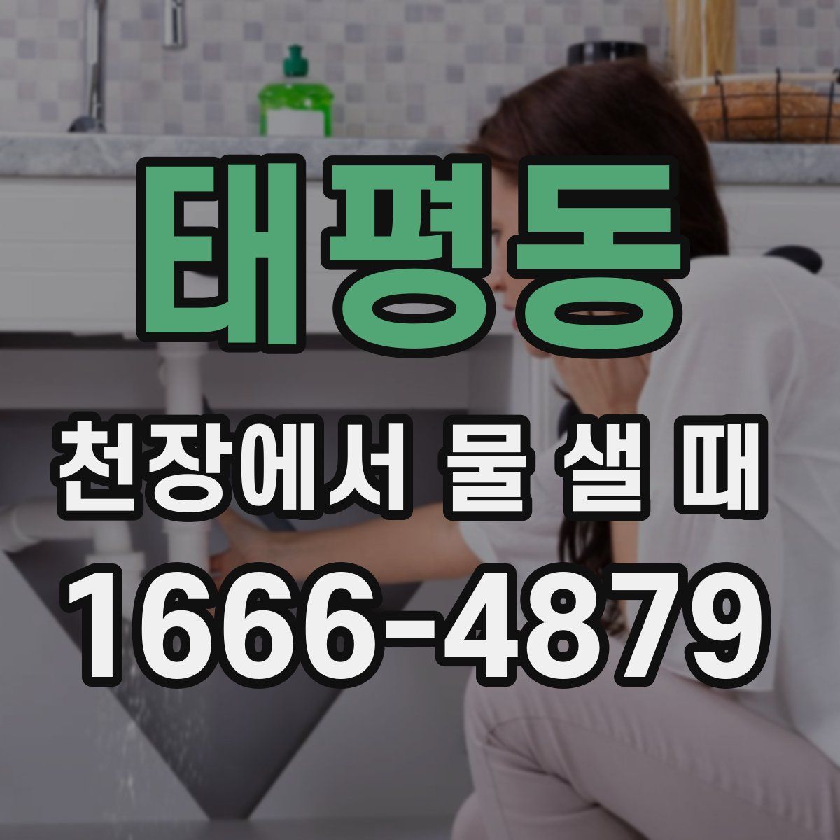 태평동 천장에서 물 샐 때